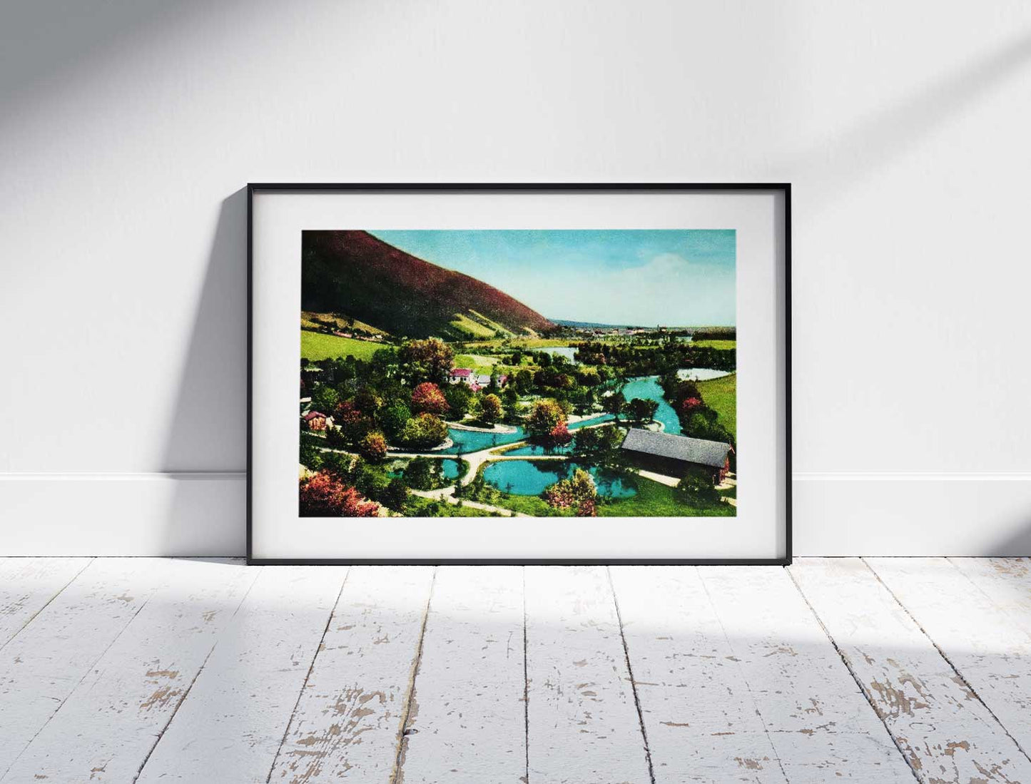 Vrelo Bosne, Ilidža