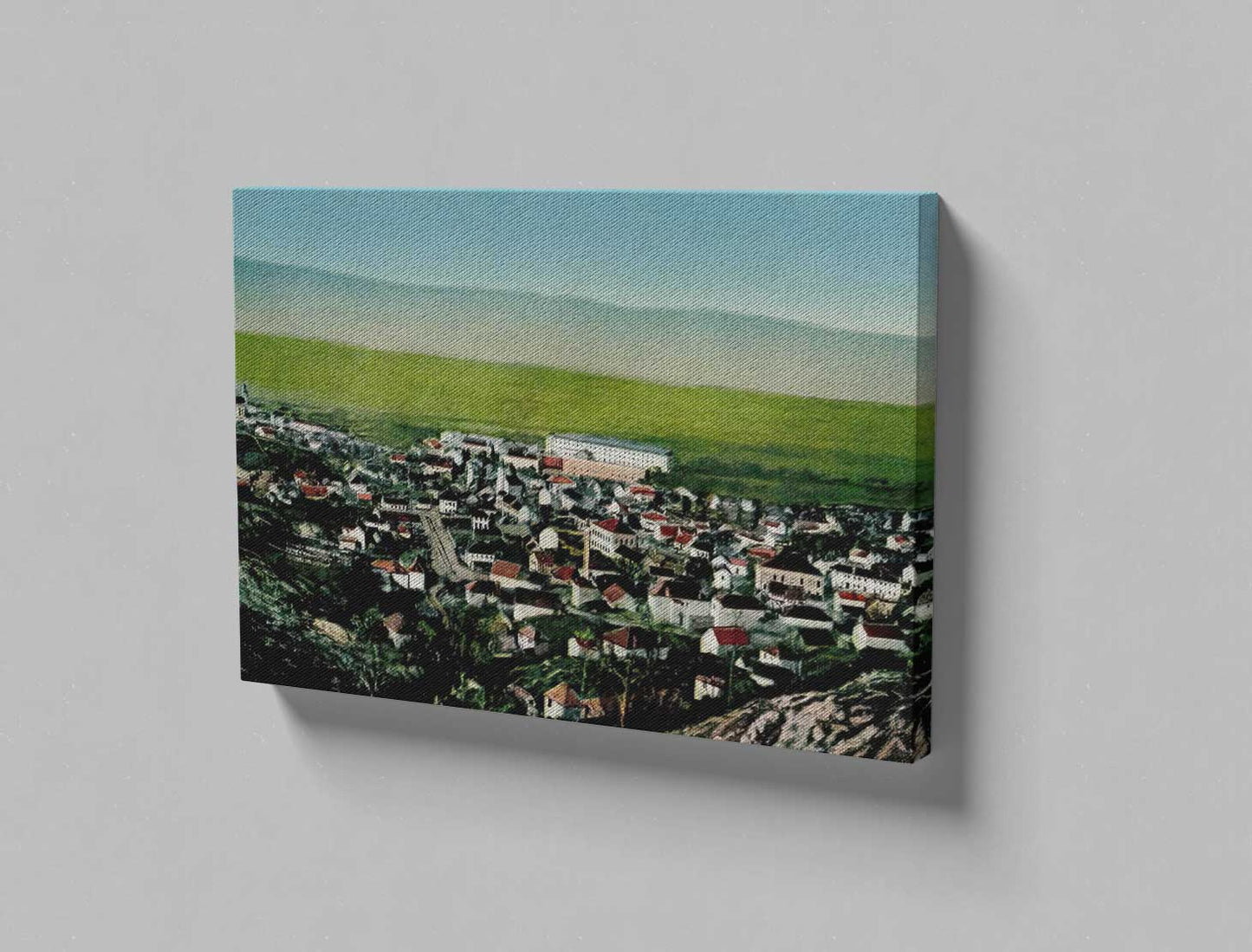 Nevesinje, Panorama